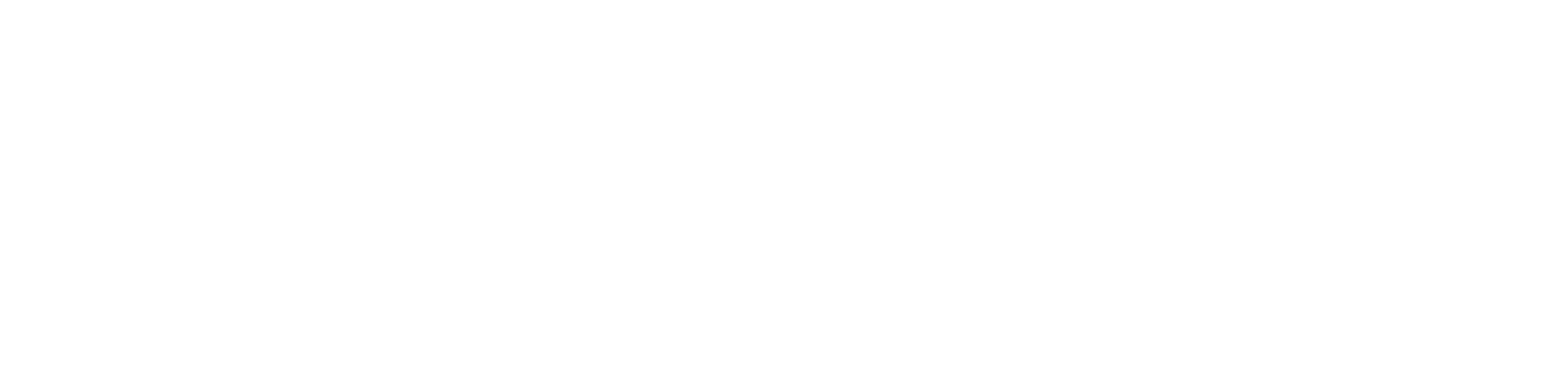Voys — klant van PROMPTED